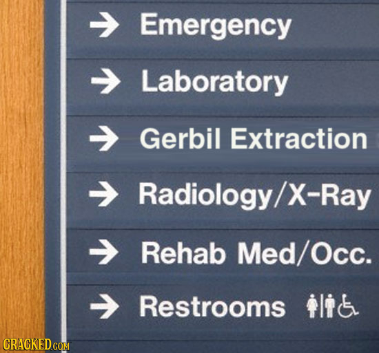 Emergency Laboratory Gerbil Extraction Radiology/ X-Ray Rehab Med/Occ. Restrooms tlik CRACKED COM 