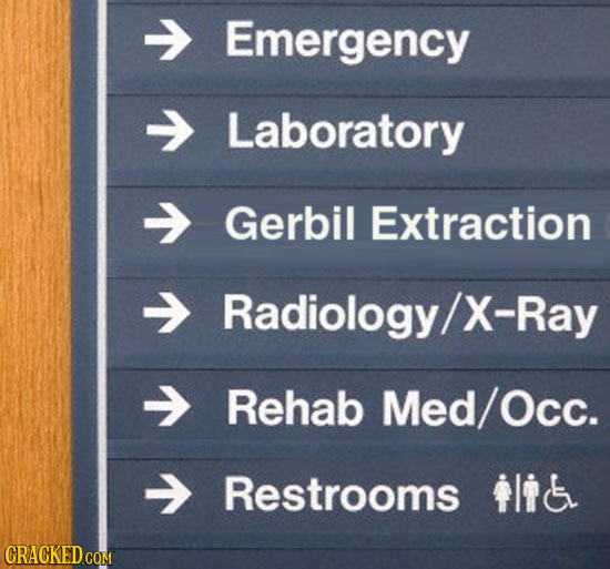 Emergency Laboratory Gerbil Extraction Radiology/ X-Ray Rehab Med/Occ. Restrooms tlik CRACKED COM