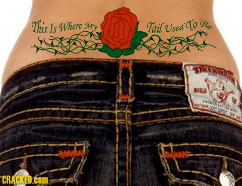 This Be Is Where MY Tail Used To WORL ACOK 12AY CRACKED.COM