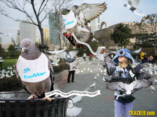 uthoe n Cwitter Stat thout can P My triole fraisel Mst Bat CRACKED.com