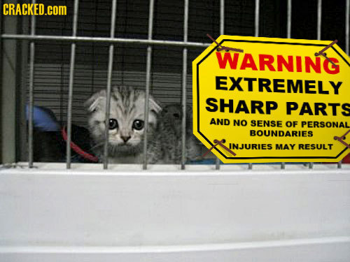 CRACKED.cOM WARNING EXTREMELY SHARP PARTS AND NO SENSE OF PERSONAL BOUNDARIES INJURIES MAY RESULT