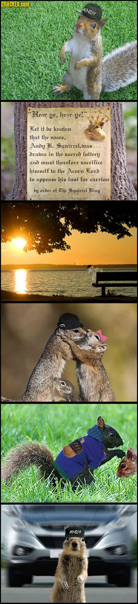 CRACKED.CDM ANDY Hear ye, hear 3Let if he knotun that the nate, Andy T. Squirrel, Iuzus Dram in the sacred lattery and nist st therefare himself ta La