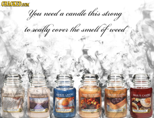 CRACKED.OON you need candle this a strong to sealy The smellot of weed cover JANKEE CANDU VANKERCANOLE YANKEE CANIXUE YANKTECANDT YANKEE CANDE YANKEE