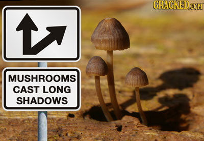 CRACKED COM MUSHROOMS CAST LONG SHADOWS