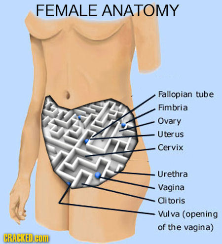 21 Things We Secretly Suspect about the Opposite Sex