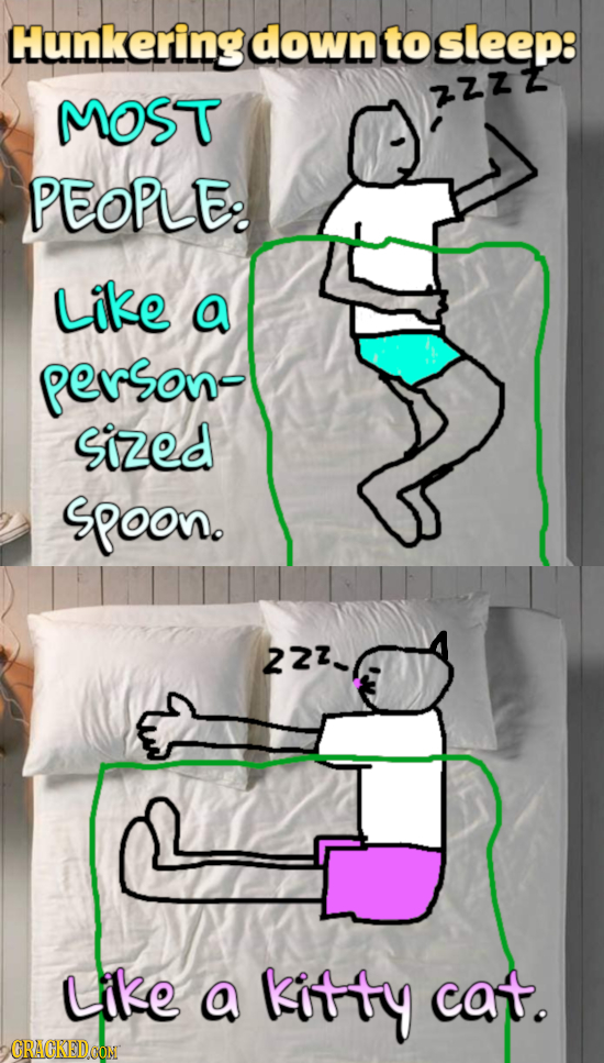 Hunkering down to sleep: MOST zZZZ PEOPLE: Like a person- Sized spoon. 22Z- Like a kitty cat. CRACKED.OON