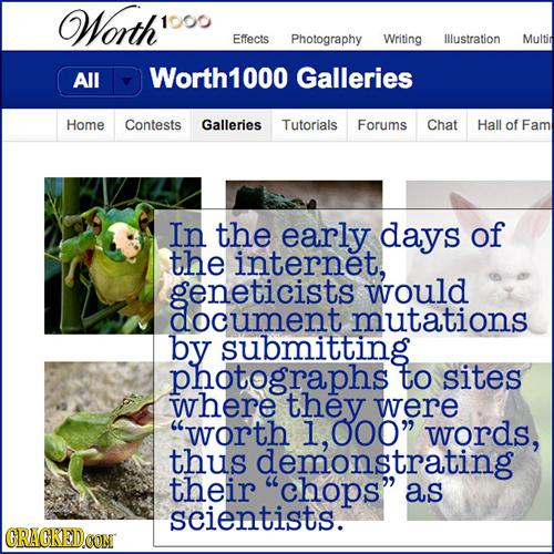 Worth' 1000 Effects Photography Writing Illustration Multin All Worth1000 Galleries Home Contests Galleries Tutorials Forums Chat Hall of Fam In the e