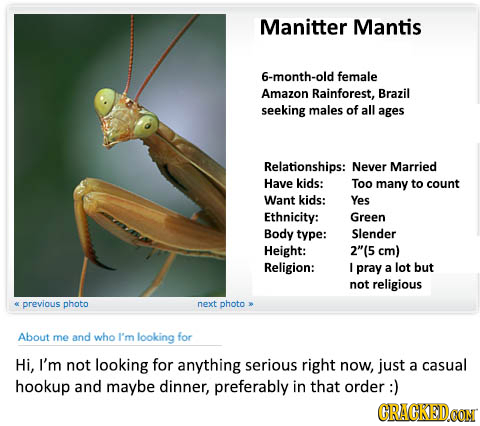 Manitter Mantis 6-month-old female Amazon Rainforest, Brazil seeking males of all ages Relationships: Never Married Have kids: Too many to count Want