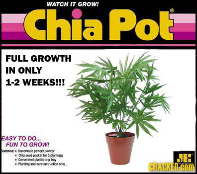 WATCH IT Chia Pot GROW! FULL GROWTH IN ONLY 1-2 WEEKS!!! EASY TO DO... FUN TO GROW! bontaae Hasdruade pottery plarter Cla send oocketfot 2 plantins Co