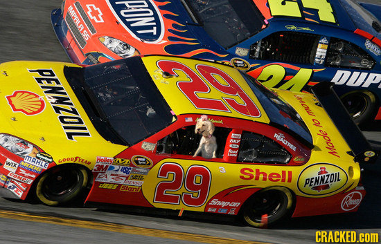 IMPAL INT 55 Swnl PENNDIL mov to aD MRHLE CooDFzad Hollya WIX 3M USG 29 3 Shell COmE NT on Ieses PENNZOUL TJ55 stat sp CRACKED.COM