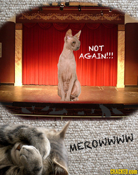 NOT AGAIN!!! MEROWWWW CRACKED.cOM