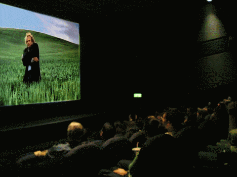 Everyday Life as Misunderstood by Politicians