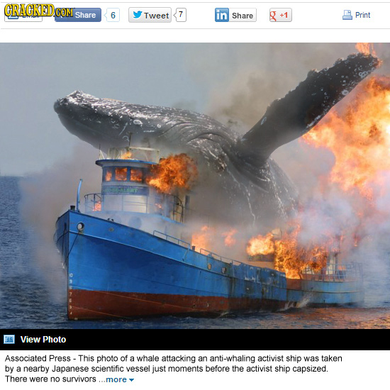 CRACKEDO COM Share 6 Tweet 7 in Share Print View Photo Associated Press - This photo of a whale attacking an anti-whaling activist ship was taken by a