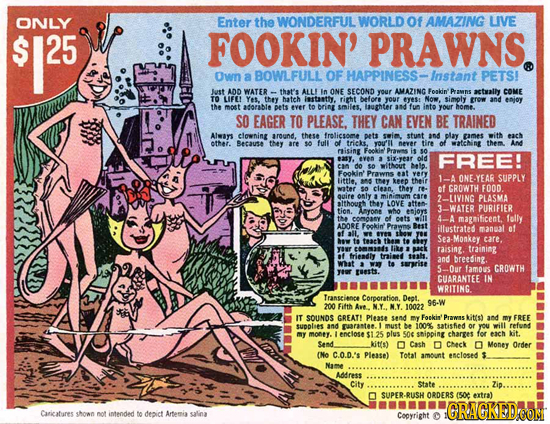 ONLY Enter the WONDERFUL WORLD Of AMAZING LIVE $125 25 FOOKIN' PRAWNS. Own a BOWLFULL OF HAPPINESS- -Instant PETS! Just ADD WATER that's ALL Im ONE SE