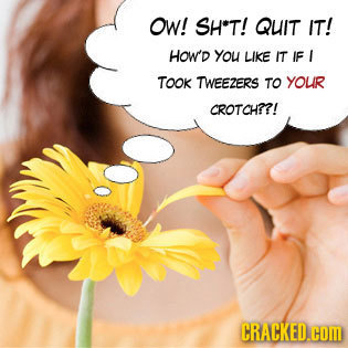 OW! SH*T! QUIT IT! HOW'D you LIKE IT IF I TOOK TWEEZERS TO YOUR CROTCH??! CRACKED.CDM