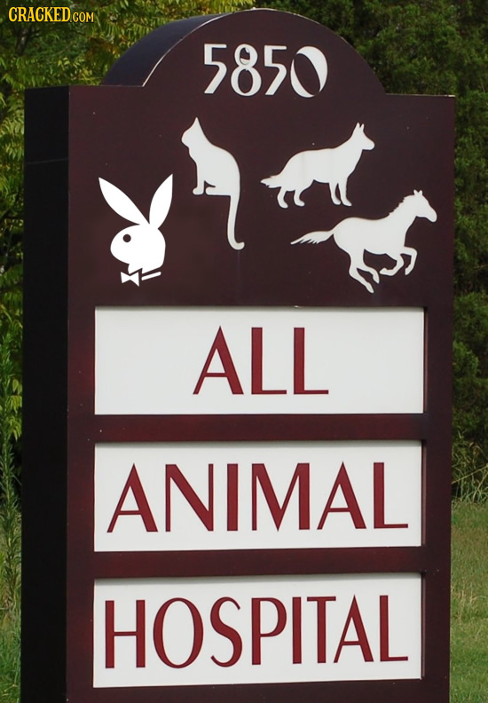 20 Corporate Logos Hidden in Everyday Life