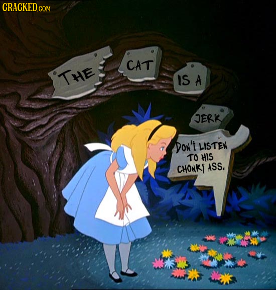CRACKED COM CAT THE IS A JERK DON't LISTEN TO HIS CHONKY ASS,