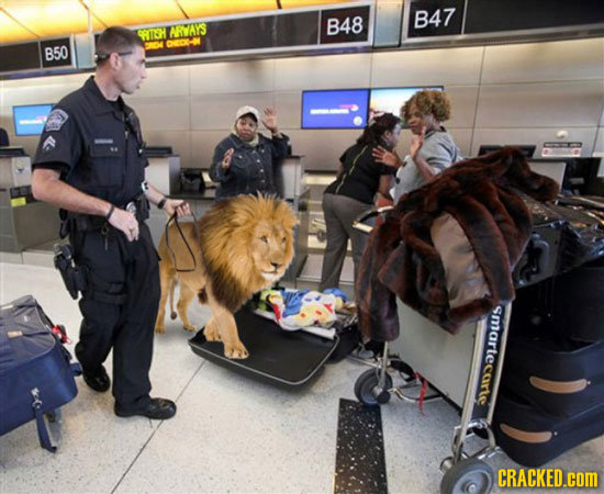 If TSA Security Measures Were Even More Invasive
