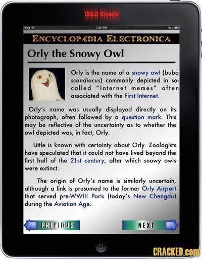IPAD alausie 750 ENCYCLOPEDIA ELECTRONICA Orly the Snowy Owl Orly is the name of a snowy owl (bubo scandiacus) commonly depicted in so- called Intern