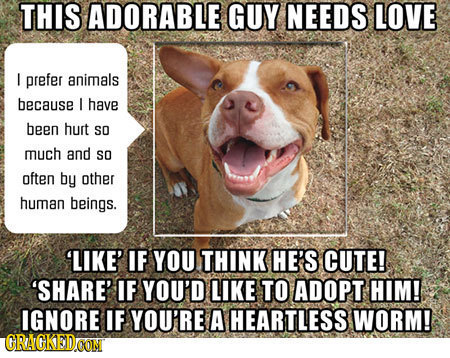 If Facebook Photos Told the Truth