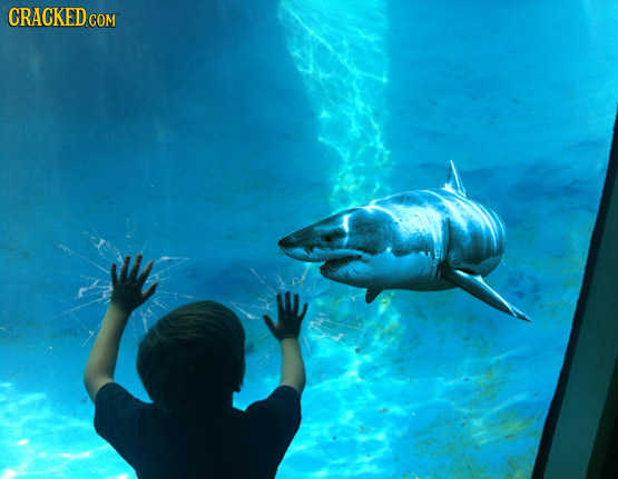 14 Scenes Two Seconds Before Everything Went To Hell