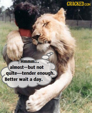 CRACKED.COM Hmmm... almost- -but not quite-tender enough. Better wait a day.