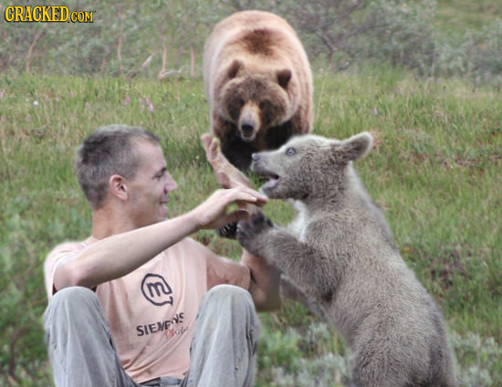 14 Scenes Two Seconds Before Everything Went To Hell