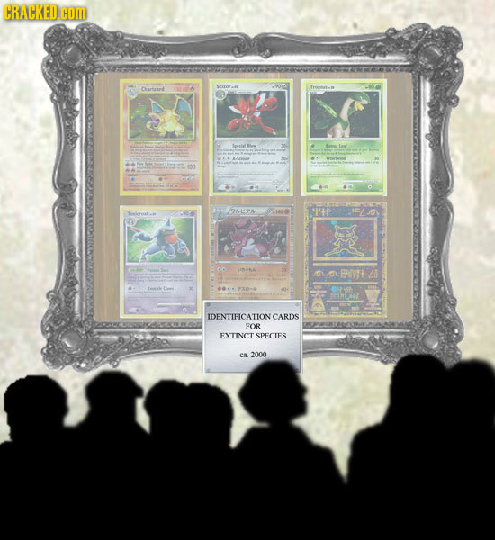 CRACKED. Com 0 Ceant Troint m OAPA 4P BPt 4 IDENTIFICATION CARDS FOR EXTINCT SPECIES ea 2000