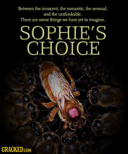 Between the innocent, the romantic. the sensual. and the unthinkable. There are some things we have yet to imagine. SOPHIE'S CHOICE CRACKED.COM 