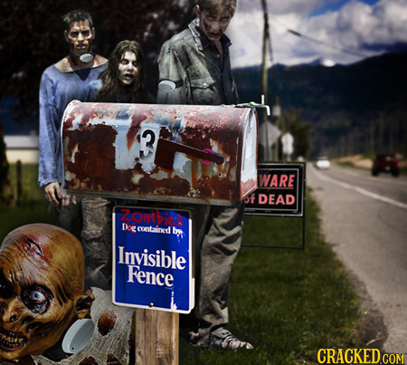 2 WARE of DEAD 2on Deg contained bry Invisible Fence CRACKED COMT