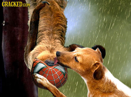 34 Famous Movies That Would Be Better With Animal Actors