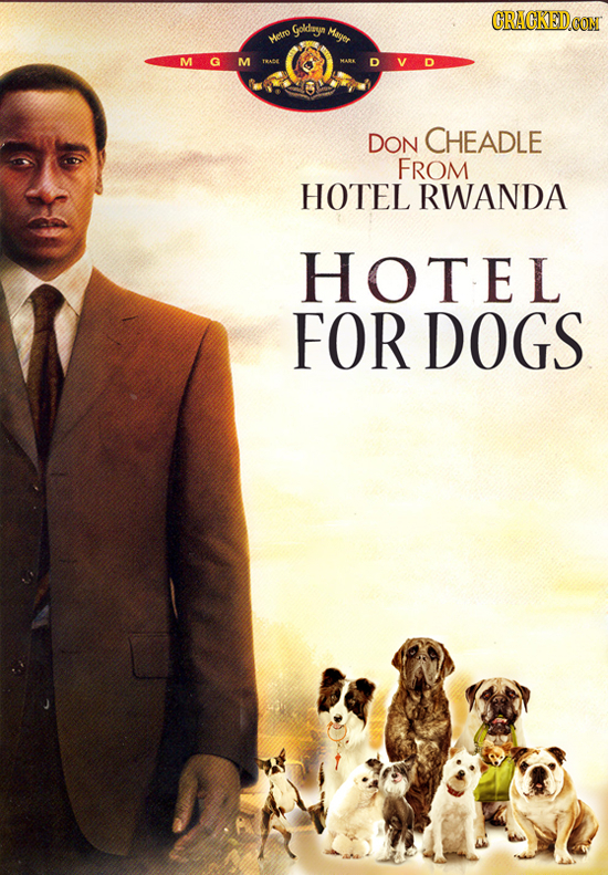 CRACKEDCON Goldarya Maer wetro M DON CHEADLE FROM HOTEL RWANDA HOTEL FOR DOGS