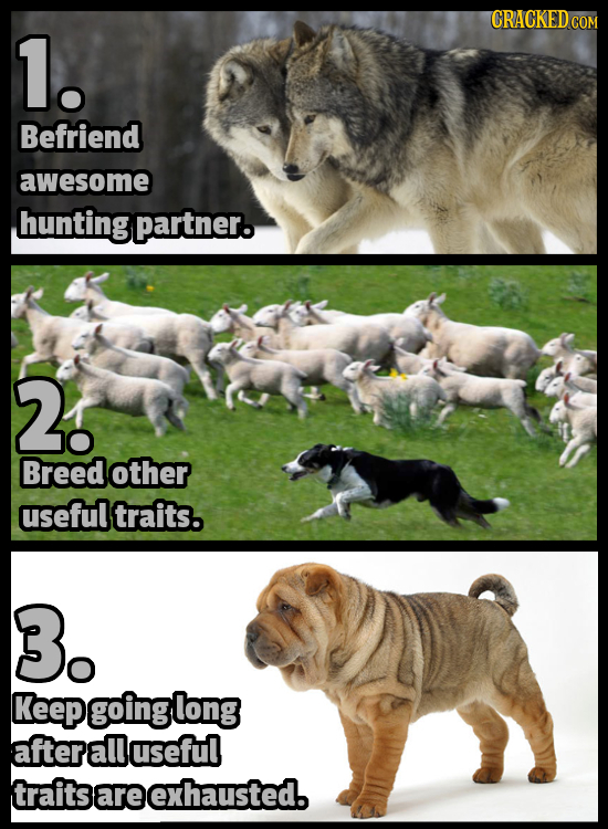 CRACKEDCON 1. Befriend awesome hunting partner. 2 Breed other useful traits. 3. Keepgoinglong afterall useful traits sareexhausted.
