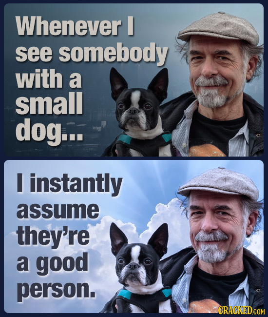 Whenever see somebody with a small dog... I instantly assume they're a good person. GRAGKED COM