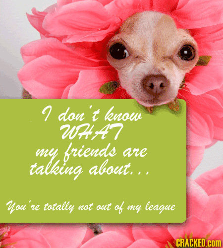 don't know WA7 my friends are talking about... You're totally not out of my league CRACKED.cOM