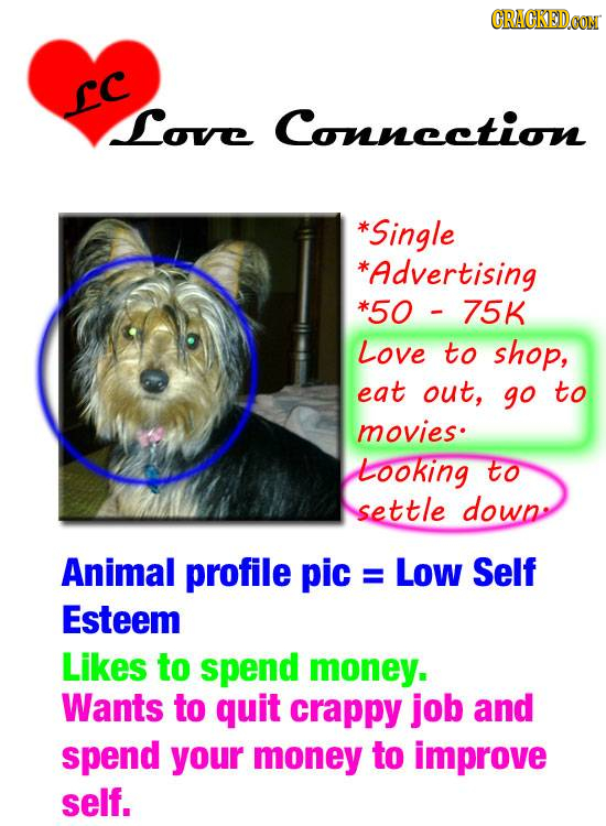 CRACKEDG LC Love Connection *Single *Advertising *50 - 75K Love to shop, eat out, go to movies Looking tO settle dowp Animal profile pic : Low Self =
