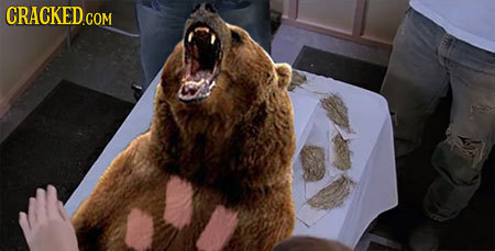 34 Famous Movies That Would Be Better With Animal Actors