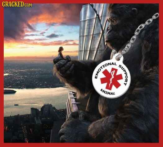 CRACKED COM UPPORT EMOTIONAL ANIMAL