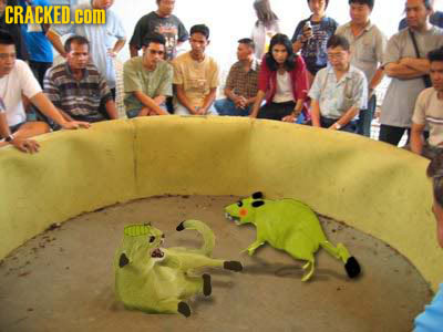 If Cartoons Were More Like The Real World