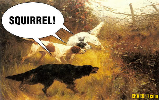 SQUIRREL! CRACKED.cOM