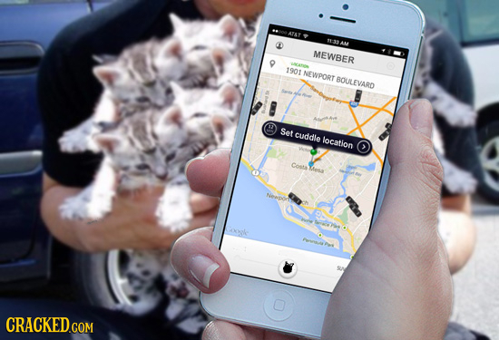 ATAT 3 AM MEWBER 1901 NEWPORT BOULEVARD Set cuddle location Costa Mesa Neepon CRACKED.COM