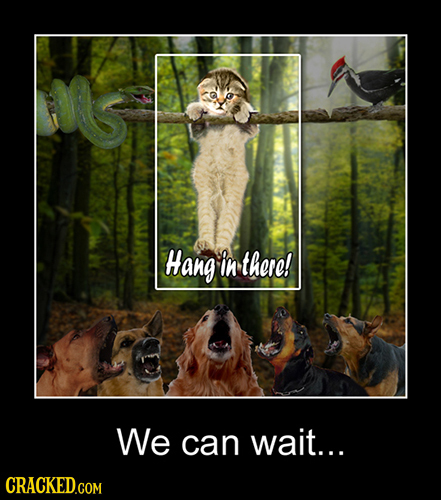 Hang in there! We can wait...