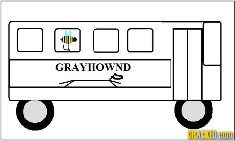 GRAYHOWND