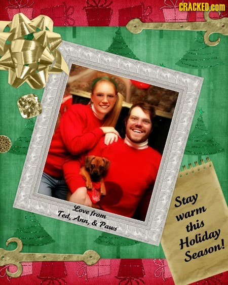 CRACKED.coR Stay Love Ted, from Ann, warm & Paws this Holiday Season!