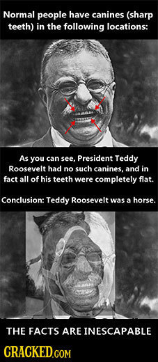 Normal people have canines (sharp teeth) in the following locations: As you can see, President Teddy Roosevelt had no such canines. and in fact all of