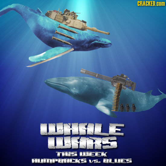 CRACKED.cOM ite TS EEK HTLIA VSA BLUES