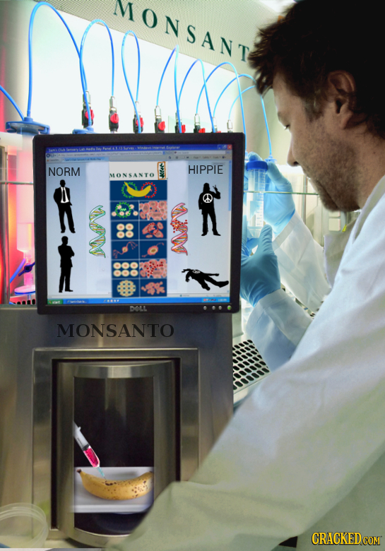 IMTONSANT NORM HIPPIE MONSANTO DOL MONSANTO