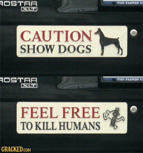 ROSTAR TH FMPIRE X1 CAUTION SHOW DOGS OSTAR THI FMPIRE X4n FEEL FREE TO KILL HUMANS CRACKED.COM