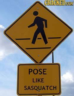 CRAGKED CON POSE LIKE SASQUATCH