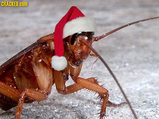 How We'll Be Celebrating The Holidays In 500 Years